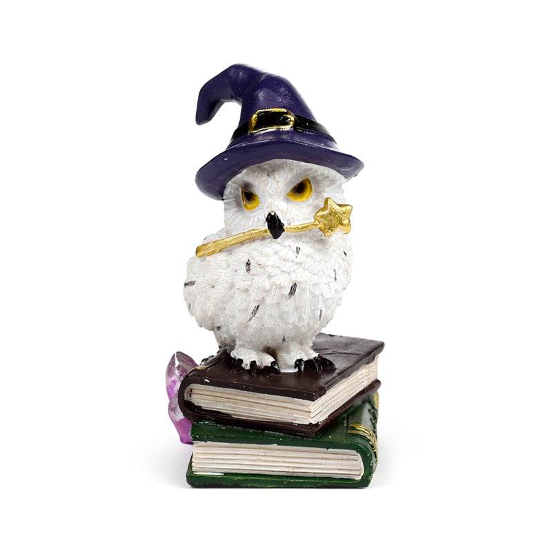 Wise Old Magical Owl on Spell Books - Gift Arch
