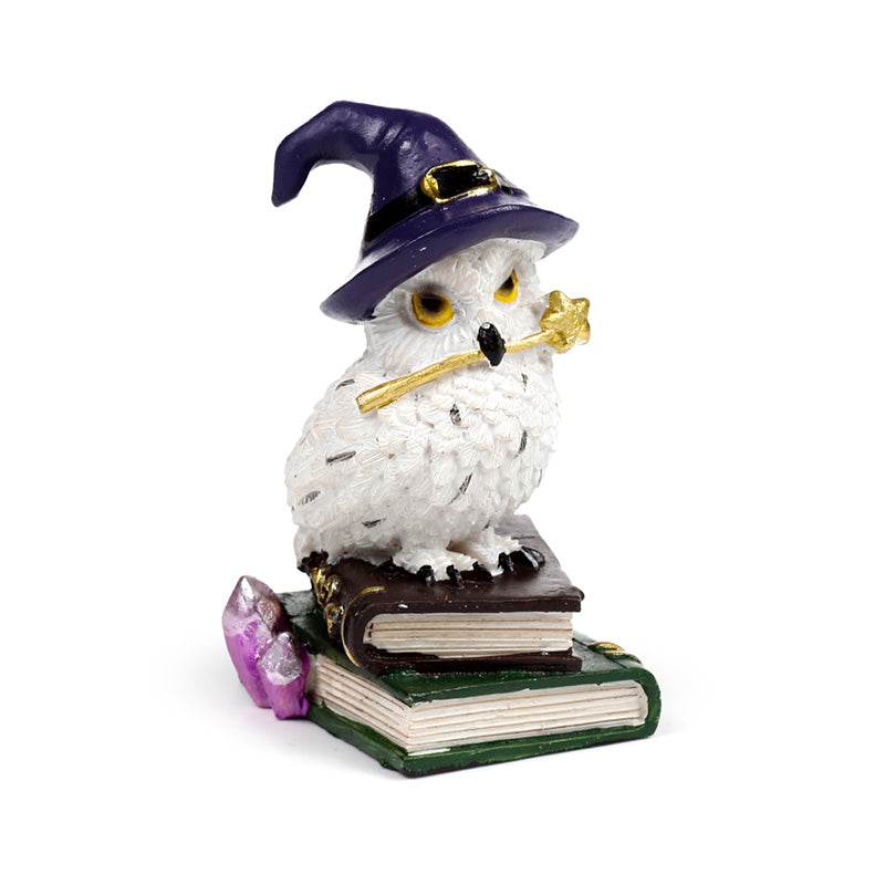 Wise Old Magical Owl on Spell Books - Gift Arch