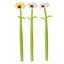 Botanical Gardens Ladybird Flower Fine Tip Pen - Gift Arch