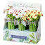 Botanical Gardens Ladybird Flower Fine Tip Pen - Gift Arch