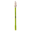 Moomin Fine Tip Pen - Gift Arch