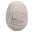 Baby Dinosaur in Egg Dig it Out Kit - Gift Arch