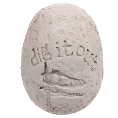 Baby Dinosaur in Egg Dig it Out Kit - Gift Arch
