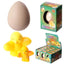 Chicken Hatching Egg - Gift Arch
