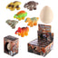 Dinosaur Hatching Egg Large - Gift Arch