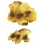 Dinosaur Hatching Egg Large - Gift Arch