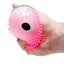 Fruit Shaped Squidgy Puff Pet - Gift Arch