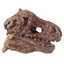 Rawr Dinosaur Skull Fossil Dig-A-Saurs Dig it Out Kit - Gift Arch