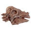 Rawr Dinosaur Skull Fossil Dig-A-Saurs Dig it Out Kit - Gift Arch