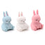 Squeezy Stretchy Cute Bunny Rabbit - Gift Arch