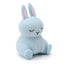 Squeezy Stretchy Cute Bunny Rabbit - Gift Arch