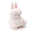 Squeezy Stretchy Cute Bunny Rabbit - Gift Arch