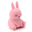 Squeezy Stretchy Cute Bunny Rabbit - Gift Arch