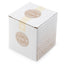Eden Scallop Cut out Ceramic Oil Burner - Gift Arch