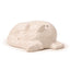 White Wolf Ceramic Salt & Pepper Set - Gift Arch
