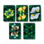 Animal Kingdom Standard Playing Card Deck - Gift Arch