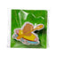 Capybara Eraser - Gift Arch