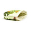 Tropical Frogs PVC Purse - Gift Arch