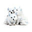 Wolf Puppies Trio - Gift Arch