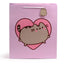Pusheen the Cat Heart Gift Bag Extra Large - Gift Bags
