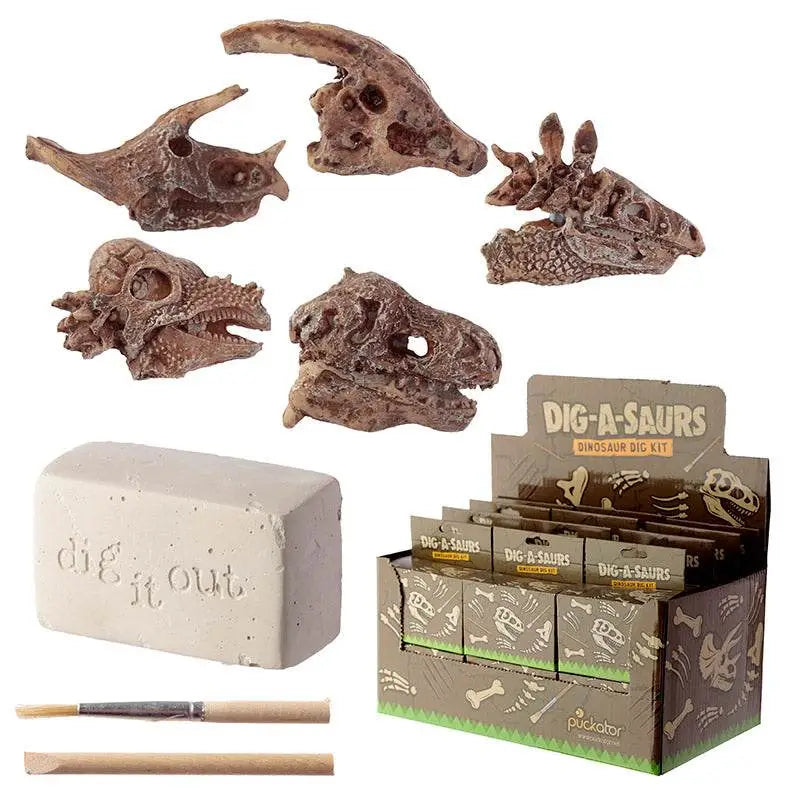 Rawr Dinosaur Skull Fossil Dig-A-Saurs Dig it Out Kit - Novelty Toys