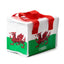 RPET Cool Bag Lunch Bag Welsh Dragon Wales (Cymru) Souvenir - Cooler Bags & Lunch Bags