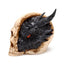 Shadows of Darkness Black Dragon in Skull Large - Dragon Gifts