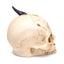 Shadows of Darkness Black Dragon in Skull Large - Dragon Gifts