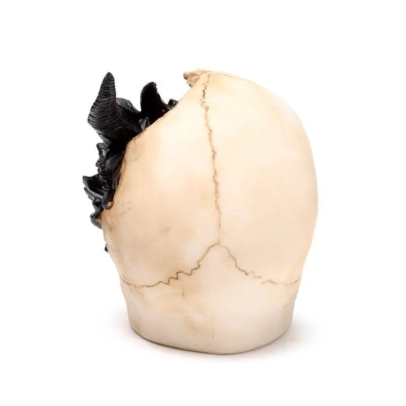 Shadows of Darkness Black Dragon in Skull Large - Dragon Gifts