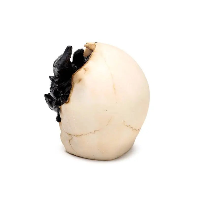 Shadows of Darkness Black Dragon in Skull Small - Dragon Gifts