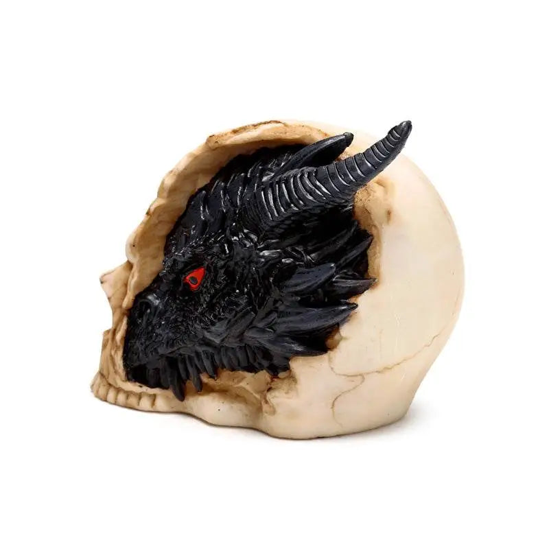 Shadows of Darkness Black Dragon in Skull Small - Dragon Gifts