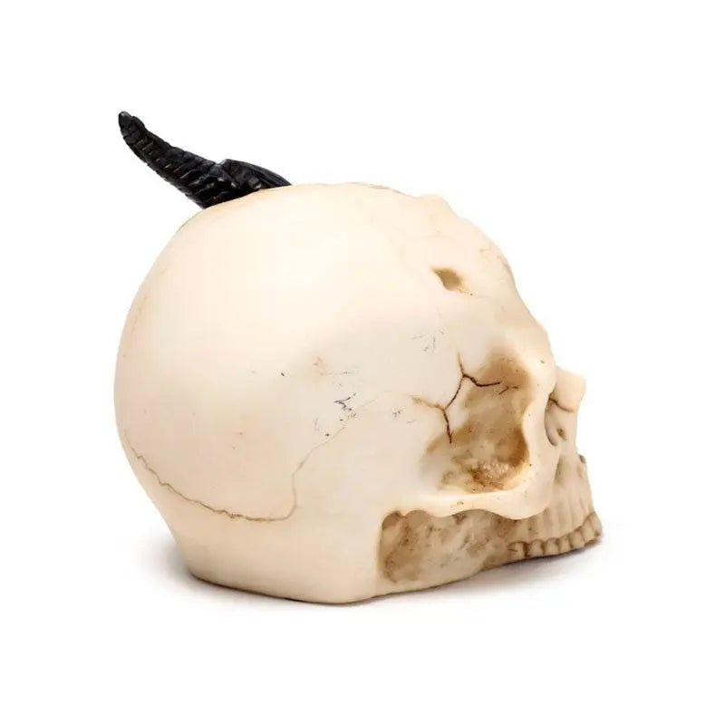 Shadows of Darkness Black Dragon in Skull Small - Dragon Gifts