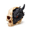 Shadows of Darkness Black Dragon in Skull Small - Dragon Gifts