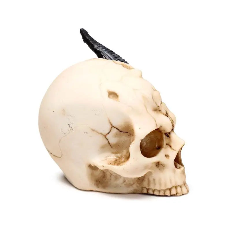 Shadows of Darkness Black Dragon in Skull Small - Dragon Gifts