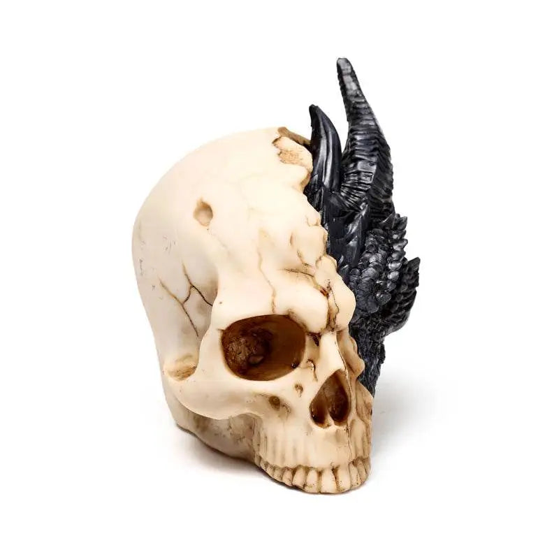 Shadows of Darkness Black Dragon in Skull Small - Dragon Gifts