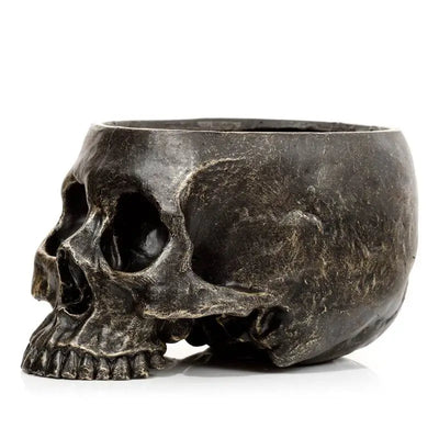 Skull Garden Planter - Gothic Fantasy Skulls & Skeletons