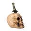 Skull Pierced With Sword - Gothic Fantasy Skulls & Skeletons