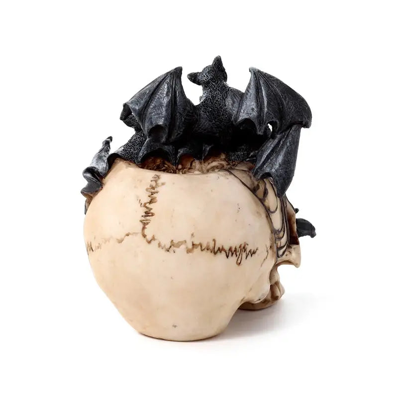 Skull with Bats Crawling Inside - Gothic Fantasy Skulls & Skeletons