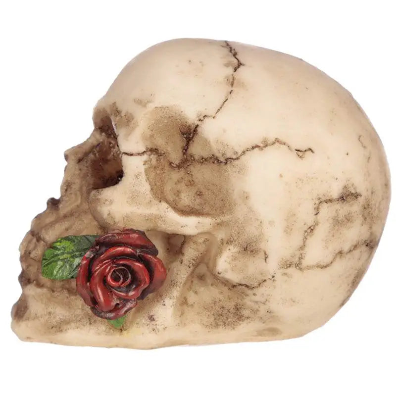 Skull with Rose in Teeth - Gothic Fantasy Skulls & Skeletons