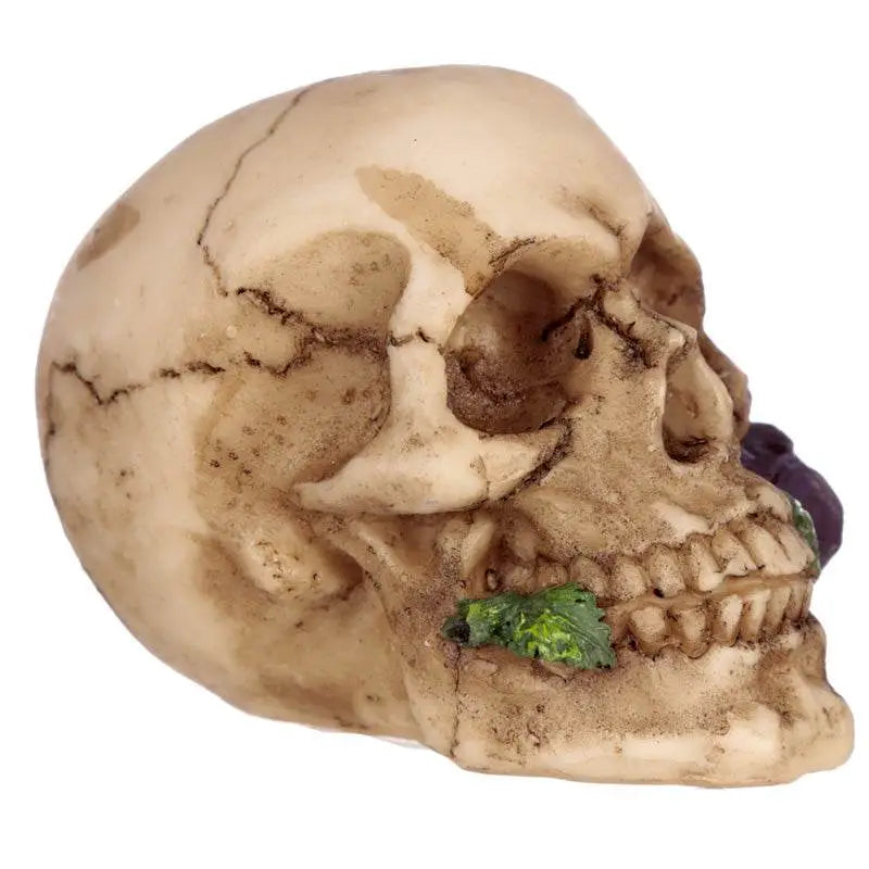 Skull with Rose in Teeth - Gothic Fantasy Skulls & Skeletons