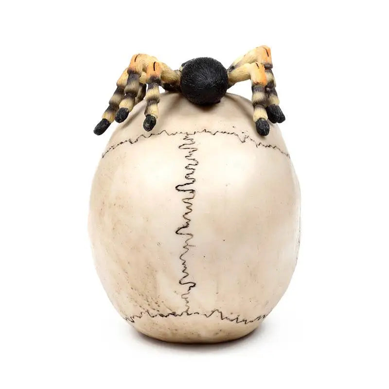 Skull with Spider - Gothic Fantasy Skulls & Skeletons