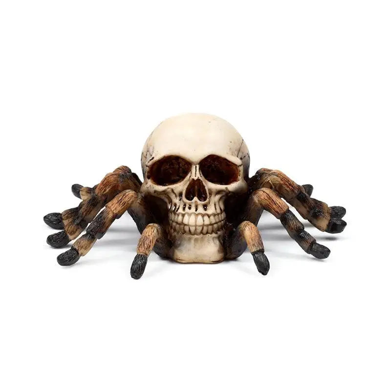 Skull with Spider Legs - Gothic Fantasy Skulls & Skeletons