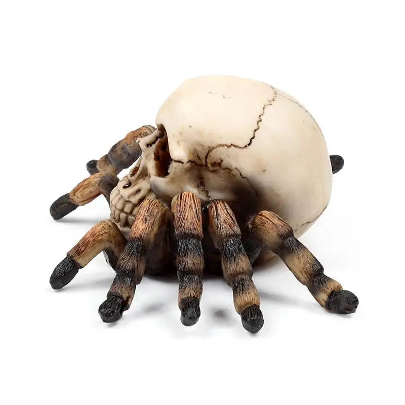 Skull with Spider Legs - Gothic Fantasy Skulls & Skeletons