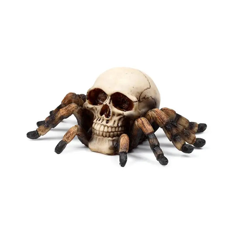 Skull with Spider Legs - Gothic Fantasy Skulls & Skeletons