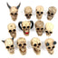 Skull World Figures - Gothic Fantasy Skulls & Skeletons