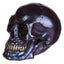 Small Iridescent Skull - Gothic Fantasy Skulls & Skeletons