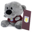 Aston Villa FC Timmy Bear - Gift Arch