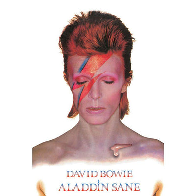 David Bowie Poster Aladdin Sane 269 - Gift Arch