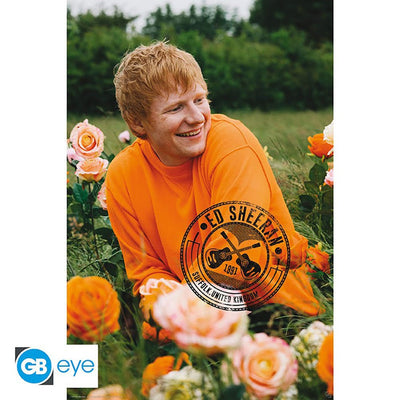 Ed Sheeran Poster Field 90 - Gift Arch