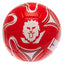 England Lionesses Football - Gift Arch